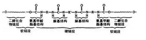 弹性纤维