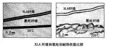 弹性纤维