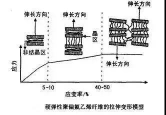 弹性纤维