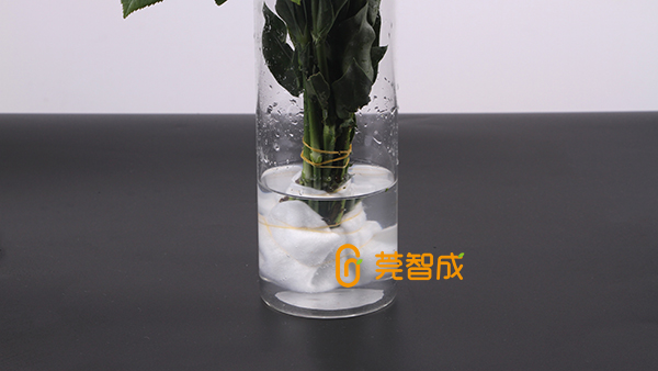 鲜花吸水棉